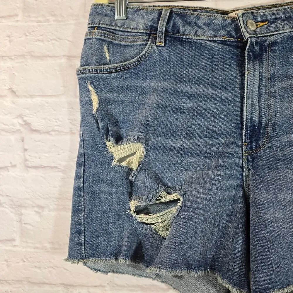 Y Wrangler Women's 4" Frayed Jean Shorts Destroyed Sky Light Blue NWT Size 14 32 - Picture 3 of 11